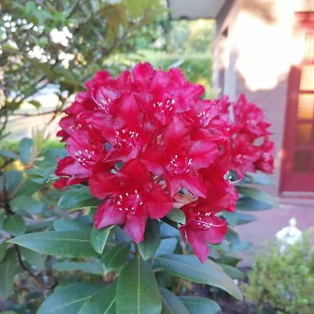 Lüneburg Appartment Daji מראה חיצוני תמונה