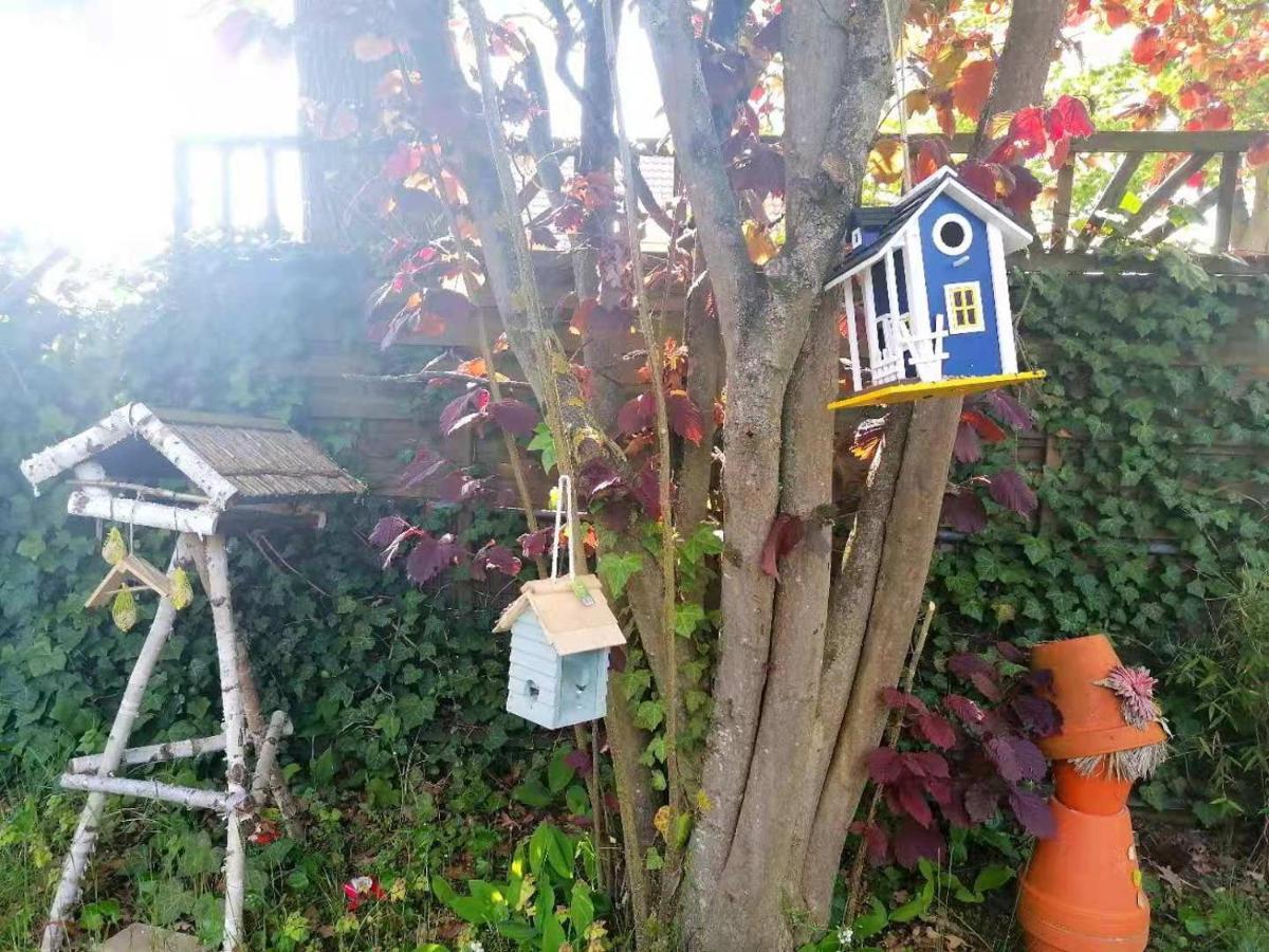 Lüneburg Appartment Daji מראה חיצוני תמונה